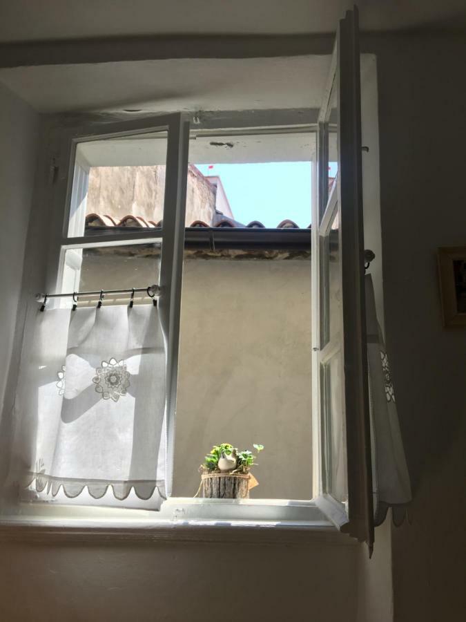 Kulturist Apartamento